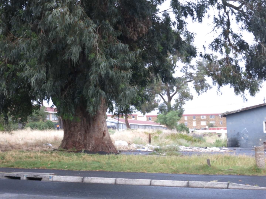 0 Bedroom Property for Sale in Elsies River Western Cape
